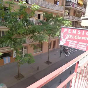  Guest house El Ciervo Spain